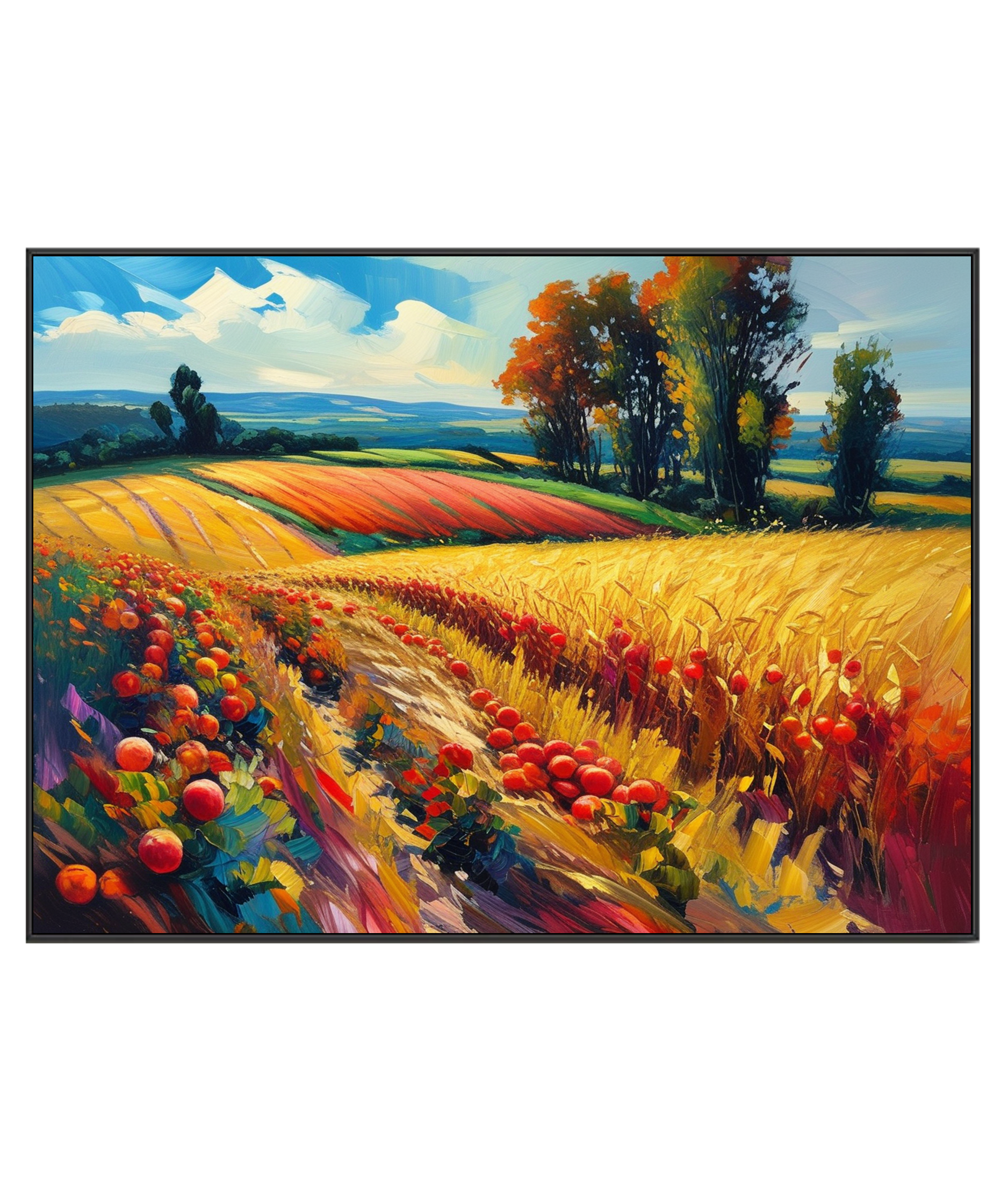 Harvest Splendor in the Fields