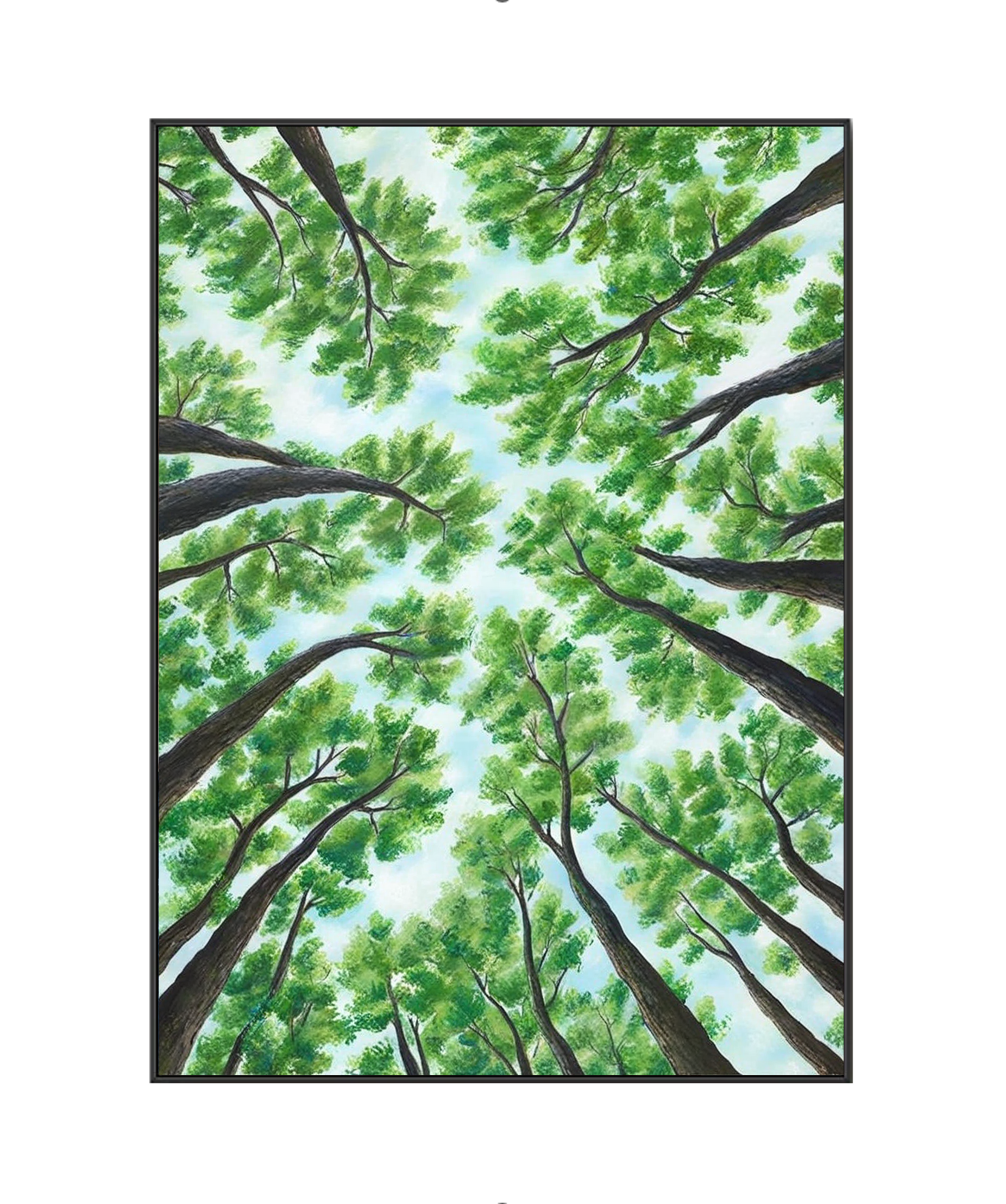 Under the Canopy of Green: A Forest Reverie