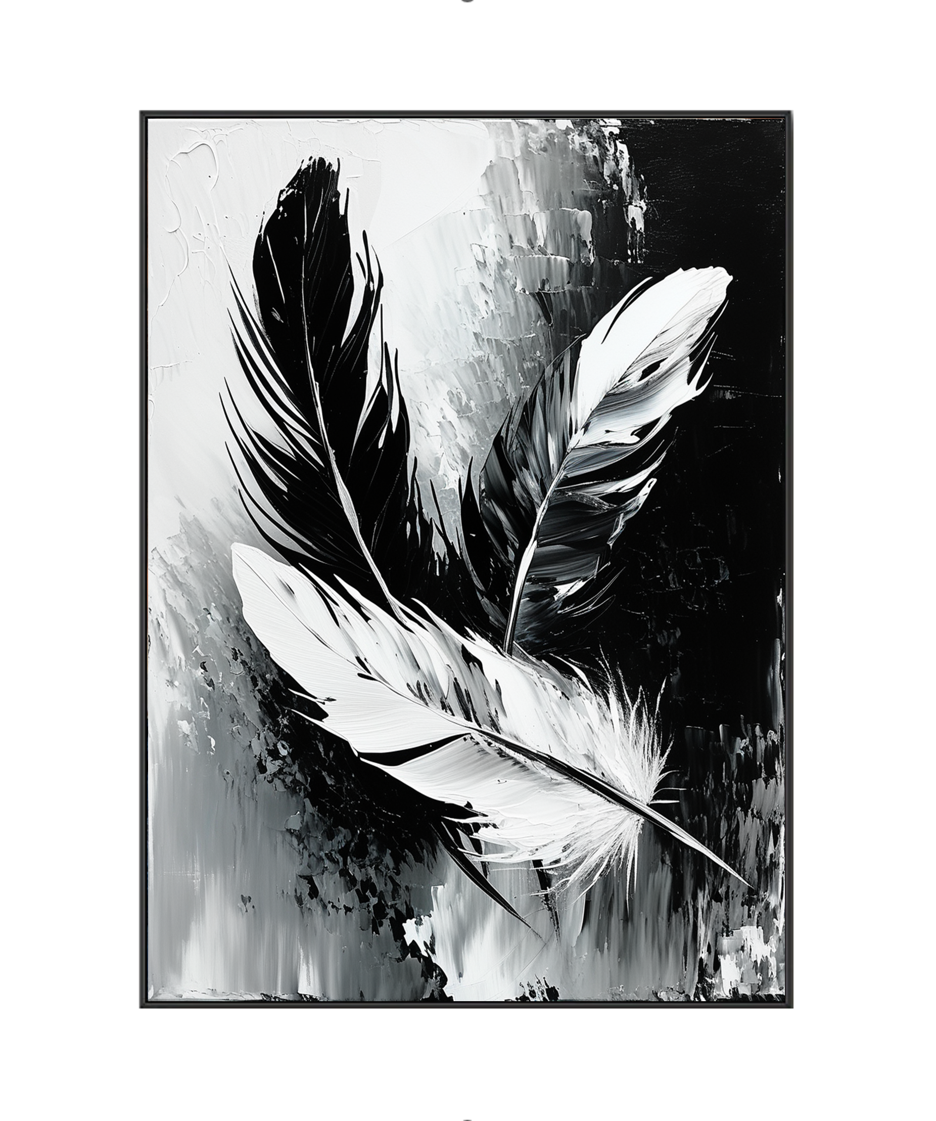 Contrasting Elegance: The Dance of Feathers